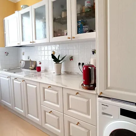 Large Bright In The Heart Of Appartement Nice